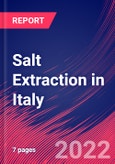 Salt Extraction in Italy - Industry Market Research Report- Product Image