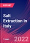 Salt Extraction in Italy - Industry Market Research Report - Product Thumbnail Image