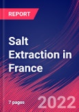 Salt Extraction in France - Industry Market Research Report- Product Image