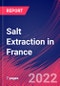 Salt Extraction in France - Industry Market Research Report - Product Thumbnail Image