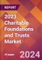 2023 Charitable Foundations and Trusts Global Market Size & Growth Report with Updated Forecasts based on COVID-19 & Recession Risk - Product Thumbnail Image
