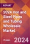 2024 Iron and Steel Pipes and Tubing Wholesale Global Market Size & Growth Report with Updated Recession Risk Impact - Product Thumbnail Image