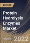 Protein Hydrolysis Enzymes Market Size, Share & Industry Trends Analysis Report By Source, By Application (Detergents, Pharmaceuticals, Food, Textiles & Leather), By Product(Microbial Product, Plant Product, and Animal Product) By Regional Outlook and Forecast, 2022 - 2028 - Product Thumbnail Image