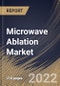 Microwave Ablation Market Size, Share & Industry Trends Analysis Report By End-user, By Component (Accessories, Generator, and Power Distribution System), By Application (Oncology, Cardiology, Urology, Orthopedic), By Regional Outlook and Forecast, 2022 - 2028 - Product Thumbnail Image