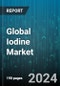 Global Iodine Market by Source (Atmospheric Iodine, Iodine-bearing Minerals, Oceanic Sources), Form (Elemental Iodine, Potassium Iodide, Sodium Iodide), Application, End-Use - Forecast 2024-2030 - Product Thumbnail Image