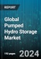 Global Pumped Hydro Storage Market by Type (Closed-Loop, Open-Loop), Application (Energy Management, Frequency Control), End-Use - Forecast 2024-2030 - Product Thumbnail Image