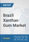 Brazil Xanthan Gum Market: Prospects, Trends Analysis, Market Size and Forecasts up to 2028 - Product Thumbnail Image