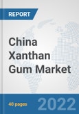 China Xanthan Gum Market: Prospects, Trends Analysis, Market Size and Forecasts up to 2028- Product Image