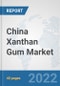 China Xanthan Gum Market: Prospects, Trends Analysis, Market Size and Forecasts up to 2028 - Product Thumbnail Image