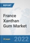 France Xanthan Gum Market: Prospects, Trends Analysis, Market Size and Forecasts up to 2028 - Product Thumbnail Image