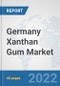 Germany Xanthan Gum Market: Prospects, Trends Analysis, Market Size and Forecasts up to 2028 - Product Thumbnail Image