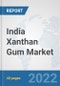 India Xanthan Gum Market: Prospects, Trends Analysis, Market Size and Forecasts up to 2028 - Product Thumbnail Image