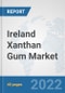 Ireland Xanthan Gum Market: Prospects, Trends Analysis, Market Size and Forecasts up to 2028 - Product Thumbnail Image