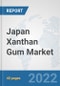 Japan Xanthan Gum Market: Prospects, Trends Analysis, Market Size and Forecasts up to 2028 - Product Thumbnail Image