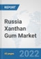 Russia Xanthan Gum Market: Prospects, Trends Analysis, Market Size and Forecasts up to 2028 - Product Thumbnail Image