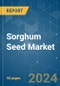 Sorghum Seed - Market Share Analysis, Industry Trends & Statistics, Growth Forecasts 2016 - 2030 - Product Thumbnail Image