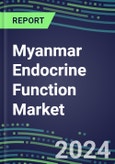 2024 Myanmar Endocrine Function Market for 20 Tests - 2023 Supplier Shares and Strategies, Opportunities - 2023-2028 Volume and Sales Segment Forecasts, Latest Technologies and Instrumentation Pipeline- Product Image