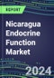 2024 Nicaragua Endocrine Function Market for 20 Tests - 2023 Supplier Shares and Strategies, Opportunities - 2023-2028 Volume and Sales Segment Forecasts, Latest Technologies and Instrumentation Pipeline - Product Image