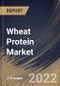 Wheat Protein Market Size, Share & Industry Trends Analysis Report By Application, By Concentration (75% concentration, 80% concentration and 95% concentration), By Product, By Regional Outlook and Forecast, 2022 - 2028 - Product Thumbnail Image