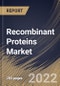 Recombinant Proteins Market Size, Share & Industry Trends Analysis Report By Product, By End User, By Application, By Regional Outlook and Forecast, 2022 - 2028 - Product Thumbnail Image