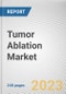 Tumor Ablation Market By Technology, By Treatment, By Application: Global Opportunity Analysis and Industry Forecast, 2022-2032 - Product Thumbnail Image