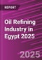 Oil Refining Industry in Egypt 2025 - Product Thumbnail Image