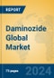 Daminozide Global Market Insights 2024, Analysis and Forecast to 2029, by Manufacturers, Regions, Technology, Application - Product Image