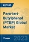 Para-tert-Butylphenol (PTBP) Global Market Insights 2023, Analysis and Forecast to 2028, by Manufacturers, Regions, Technology, Application - Product Thumbnail Image