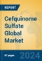 Cefquinome Sulfate Global Market Insights 2024, Analysis and Forecast to 2029, by Manufacturers, Regions, Technology, Application - Product Image