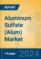 Aluminum Sulfate (Alum) Market Insights 2024, Analysis and Forecast to 2029, by Manufacturers, Regions, Technology, Application, Product Type - Product Image