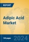 Adipic Acid Market Insights 2024, Analysis and Forecast to 2029, by Manufacturers, Regions, Technology, Application - Product Thumbnail Image