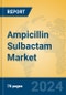 Ampicillin Sulbactam Market Insights 2024, Analysis and Forecast to 2029, by Manufacturers, Regions, Technology, Application, Product Type - Product Image