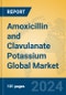 Amoxicillin and Clavulanate Potassium Global Market Insights 2024, Analysis and Forecast to 2029, by Manufacturers, Regions, Technology, Product Type - Product Image