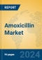 Amoxicillin Market Insights 2024, Analysis and Forecast to 2029, by Manufacturers, Regions, Technology, Product Type - Product Image