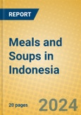 Meals and Soups in Indonesia- Product Image