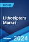 Lithotripters Market Report by Device, Application, End User, and Region 2025-2033 - Product Thumbnail Image