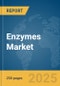 Enzymes Market Report 2025 - Product Thumbnail Image