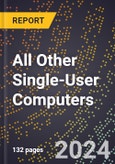 2024 Global Forecast for All Other Single-User Computers (2025-2030 Outlook) - Manufacturing & Markets Report- Product Image