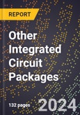 2024 Global Forecast for Other Integrated Circuit Packages (2025-2030 Outlook) - Manufacturing & Markets Report- Product Image