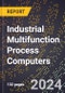 2024 Global Forecast for Industrial Multifunction Process Computers (2025-2030 Outlook) - Manufacturing & Markets Report - Product Thumbnail Image