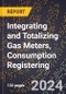 2024 Global Forecast for Integrating and Totalizing Gas Meters, Consumption Registering (2025-2030 Outlook) - Manufacturing & Markets Report - Product Image