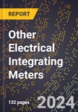 2024 Global Forecast for Other Electrical Integrating Meters (2025-2030 Outlook) - Manufacturing & Markets Report- Product Image