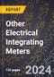 2024 Global Forecast for Other Electrical Integrating Meters (2025-2030 Outlook) - Manufacturing & Markets Report - Product Image