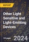 2024 Global Forecast for Other Light Sensitive and Light-Emitting Devices (2025-2030 Outlook) - Manufacturing & Markets Report - Product Thumbnail Image