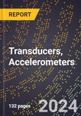 2024 Global Forecast for Transducers, Accelerometers (2025-2030 Outlook) - Manufacturing & Markets Report- Product Image