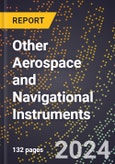 2024 Global Forecast for Other Aerospace and Navigational Instruments (2025-2030 Outlook) - Manufacturing & Markets Report- Product Image