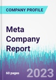 Meta Company Report- Product Image