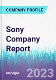 Sony Company Report- Product Image