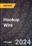 2024 Global Forecast for Hookup Wire (single Conductor, Shielded and Nonshielded) (2025-2030 Outlook)-Manufacturing & Markets Report- Product Image