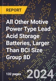 2024 Global Forecast for All Other Motive Power Type Lead Acid Storage Batteries, Larger Than BCI Size Group 8D (2025-2030 Outlook)-Manufacturing & Markets Report- Product Image